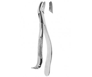 Extracting Forceps American pattern